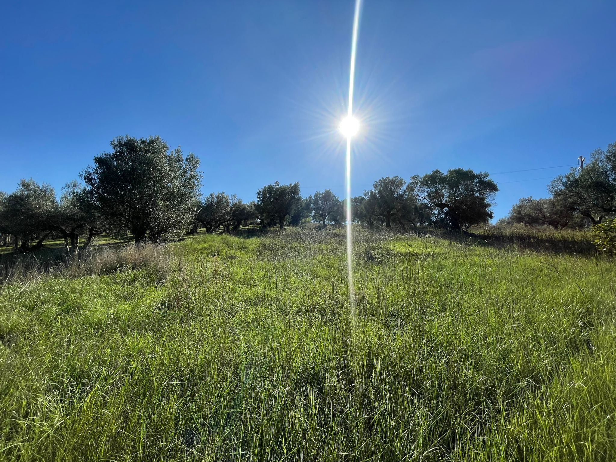 Casa indipendente da ristrutturare in contrada ranco 55, Paglieta