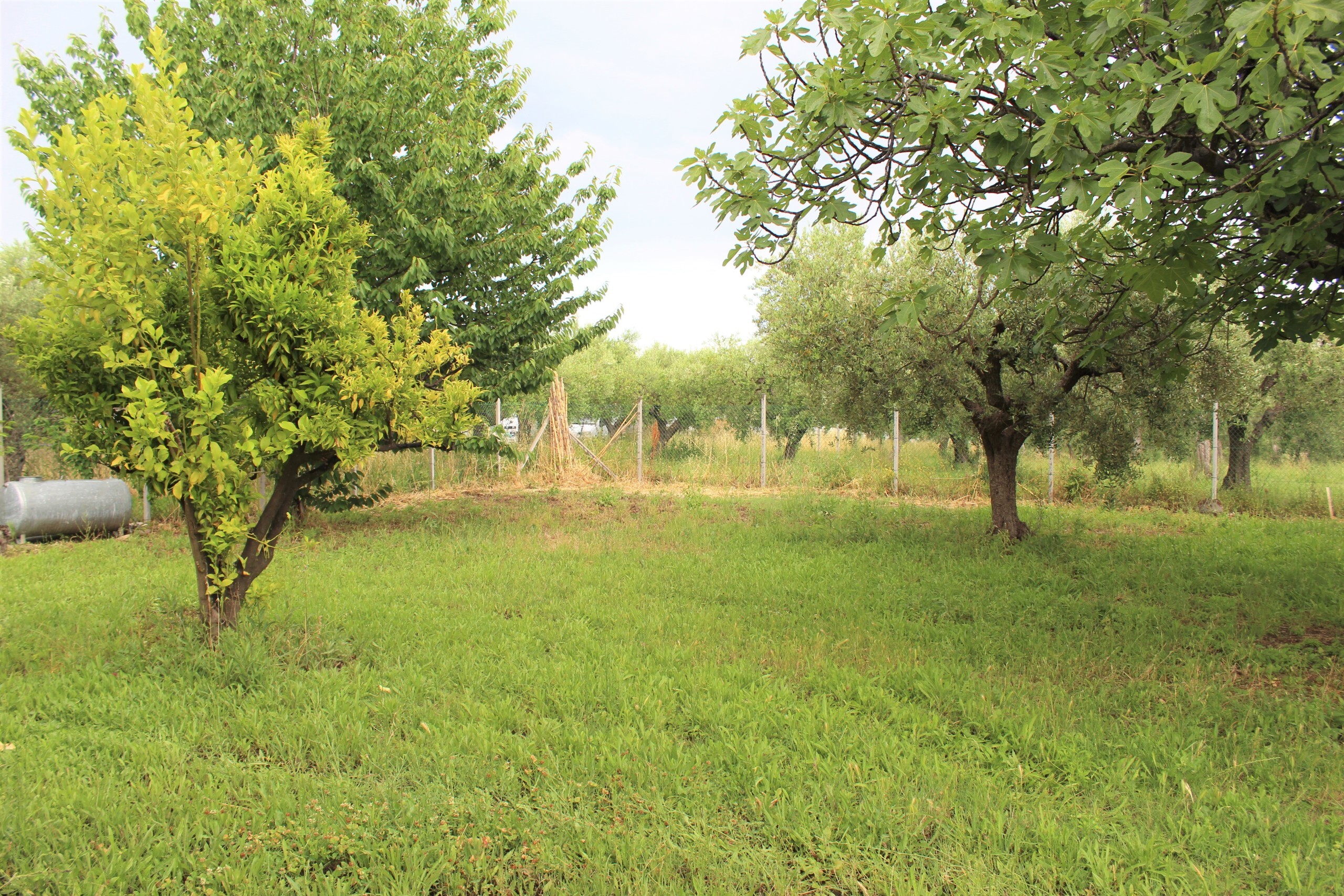 Villa con giardino in contrada torre sansone 69, Lanciano
