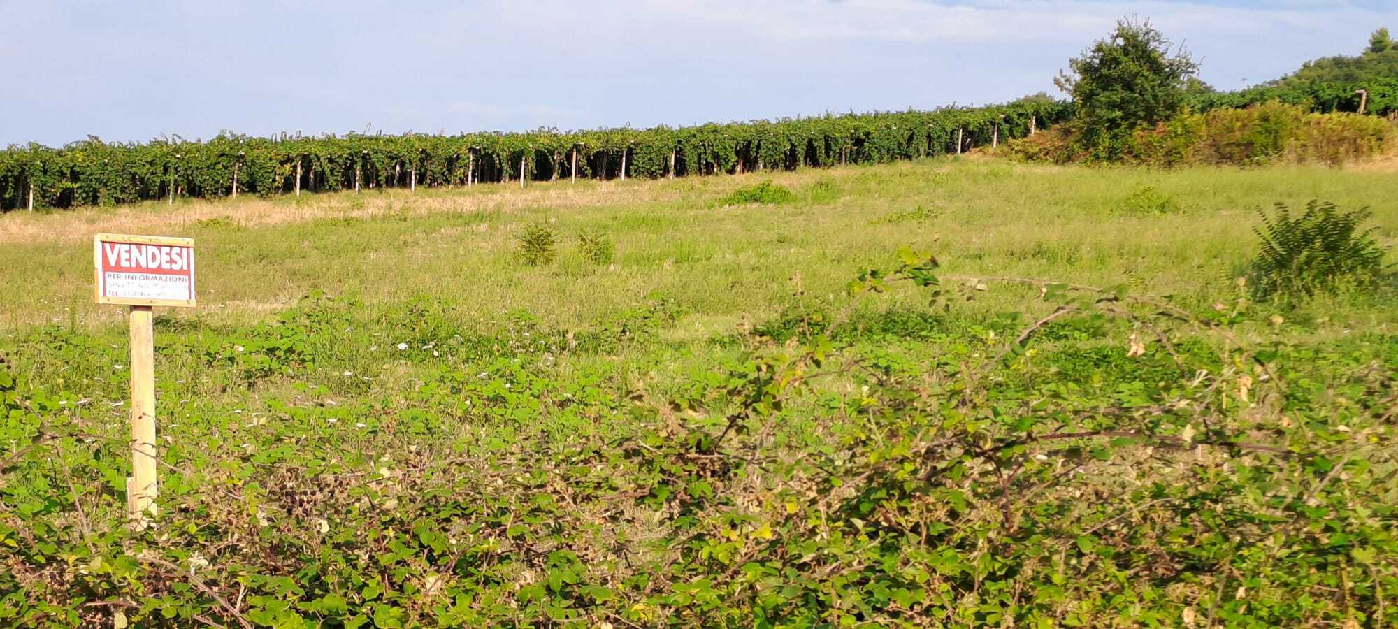 Terreno Agricolo in vendita in contrada castellana 3, San Vito Chietino