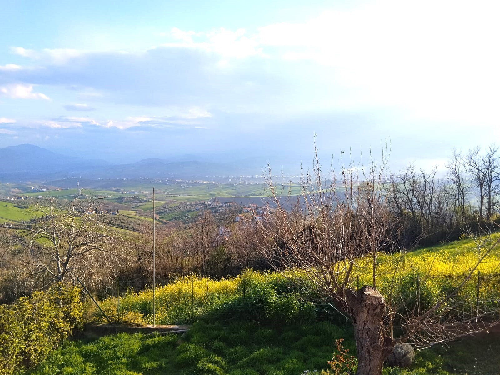 Appartamento con giardino in via teofilo patini 31, Lanciano