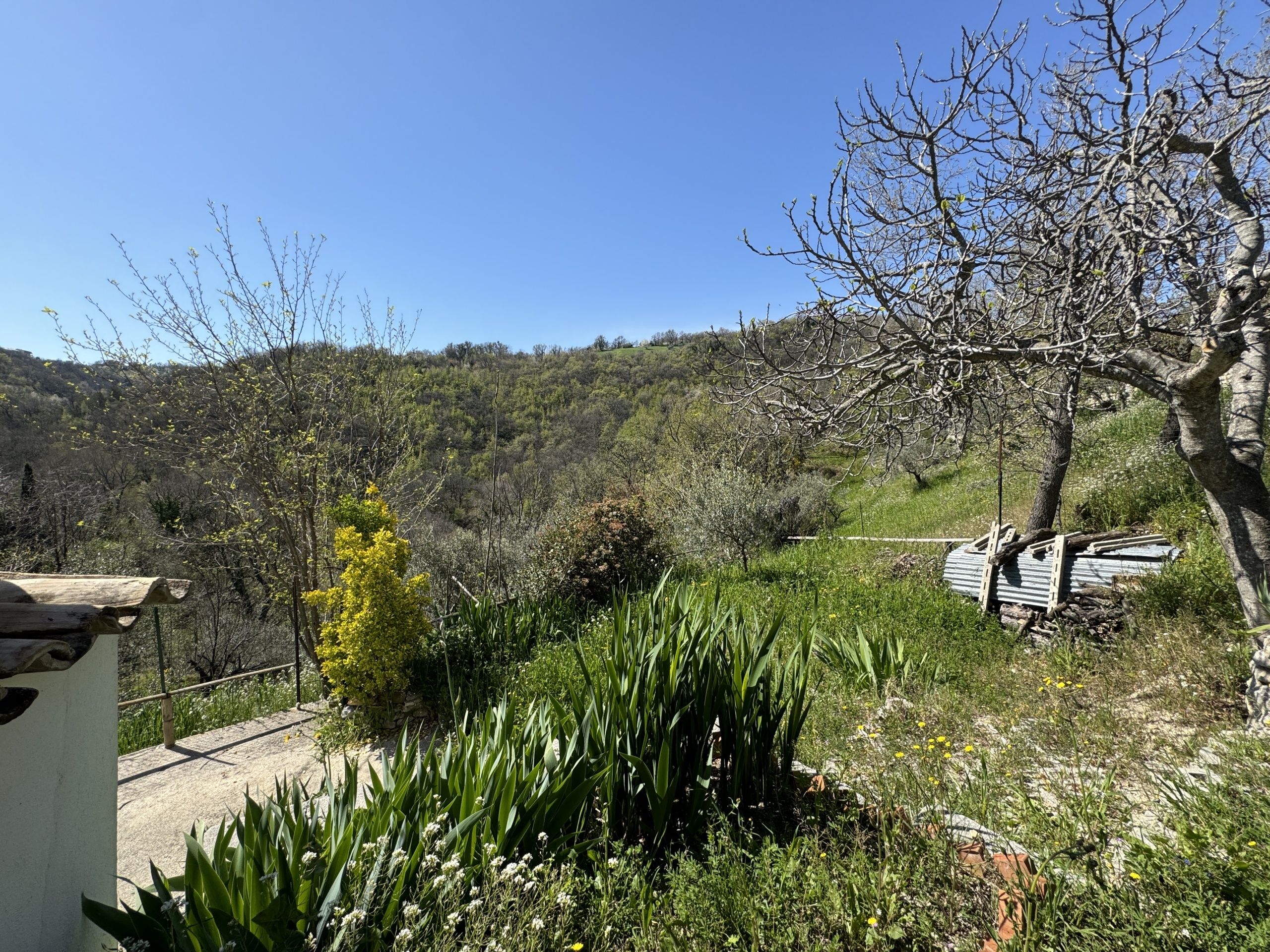 Casa indipendente in vendita a Gessopalena