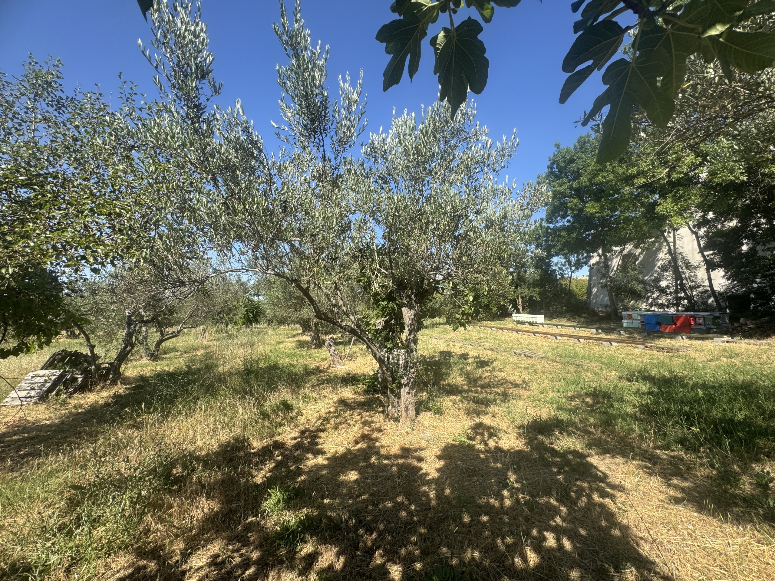 Casa indipendente in vendita in torricchio, Tornareccio