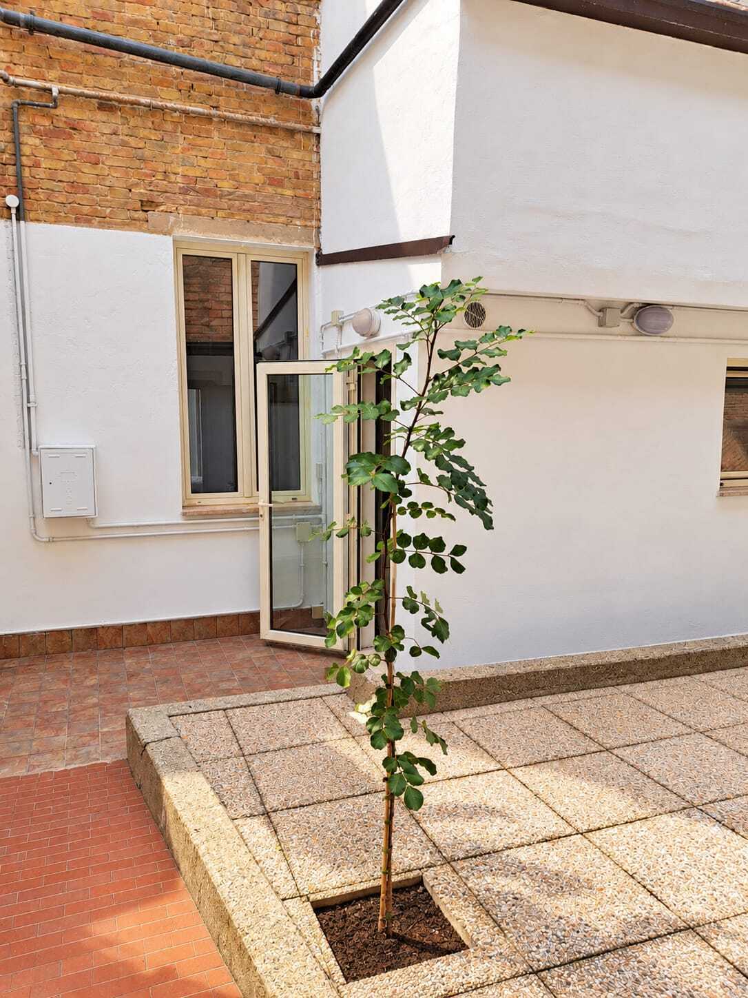 Appartamento in affitto in piazza garibaldi 39, Lanciano