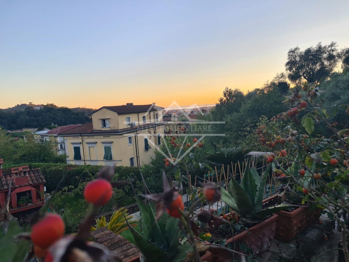 Appartamento con giardino, Carrara stabbio