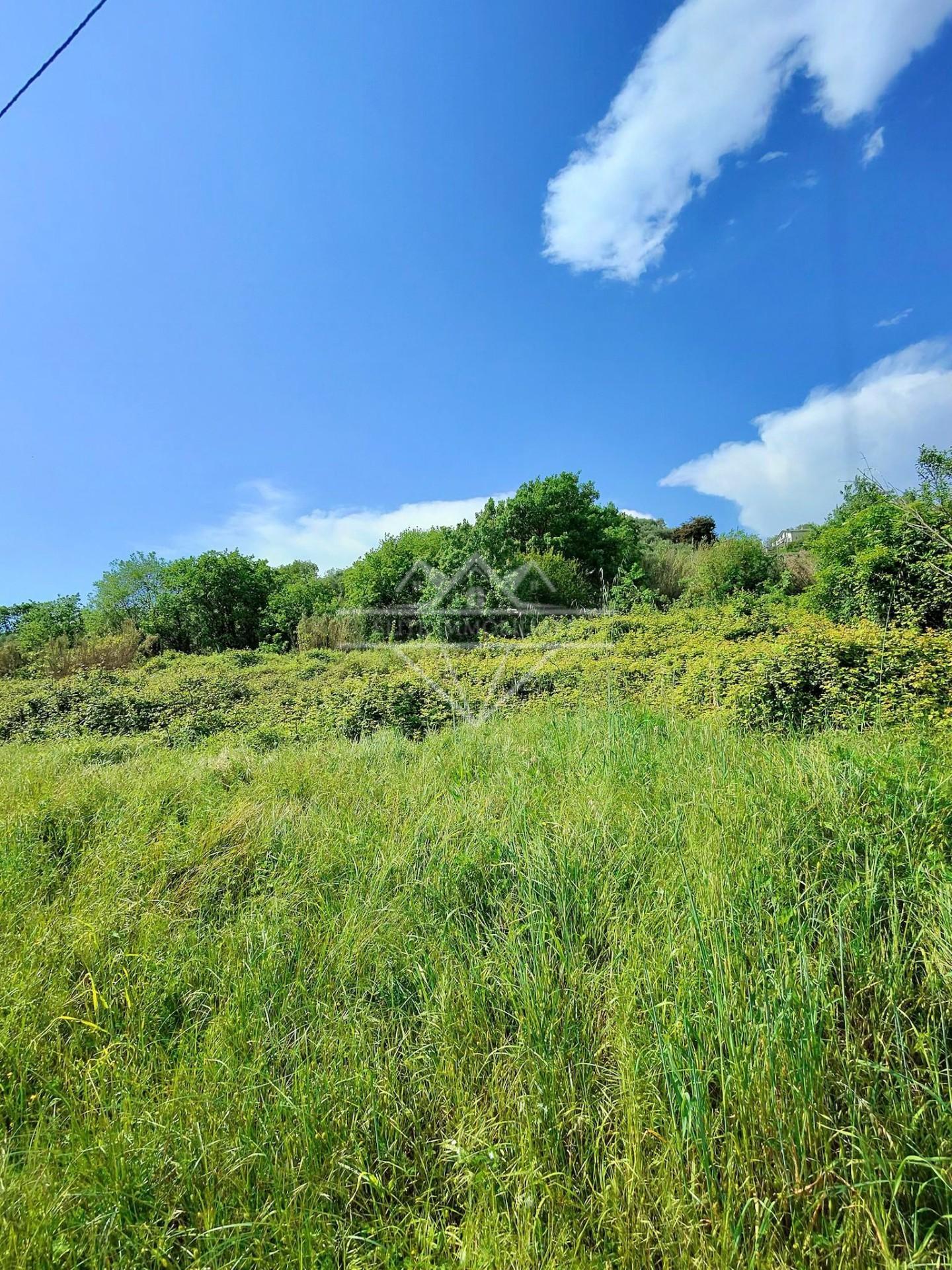 Terreno Agricolo in vendita a Carrara