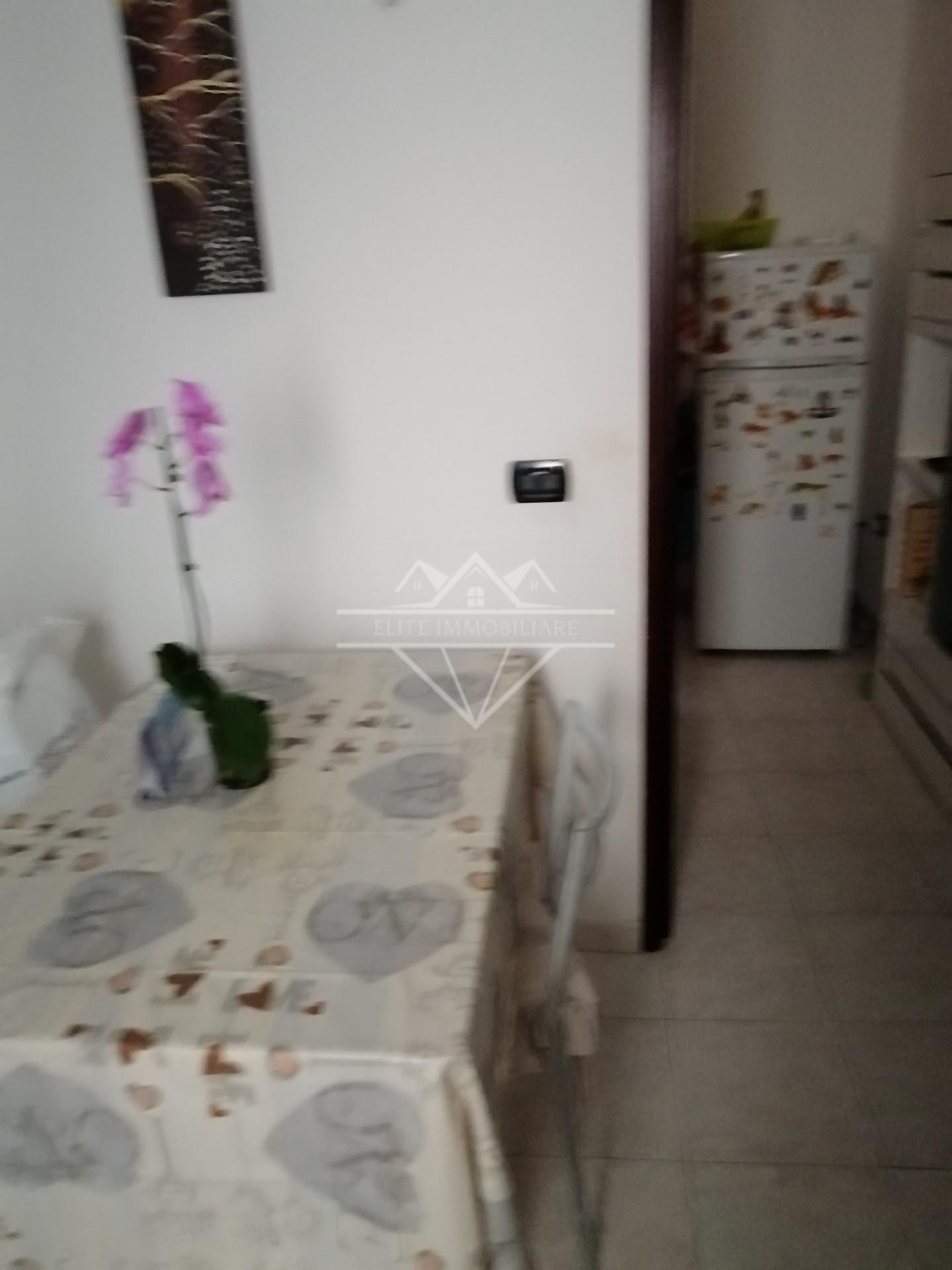 Quadrilocale arredato in affitto a Carrara