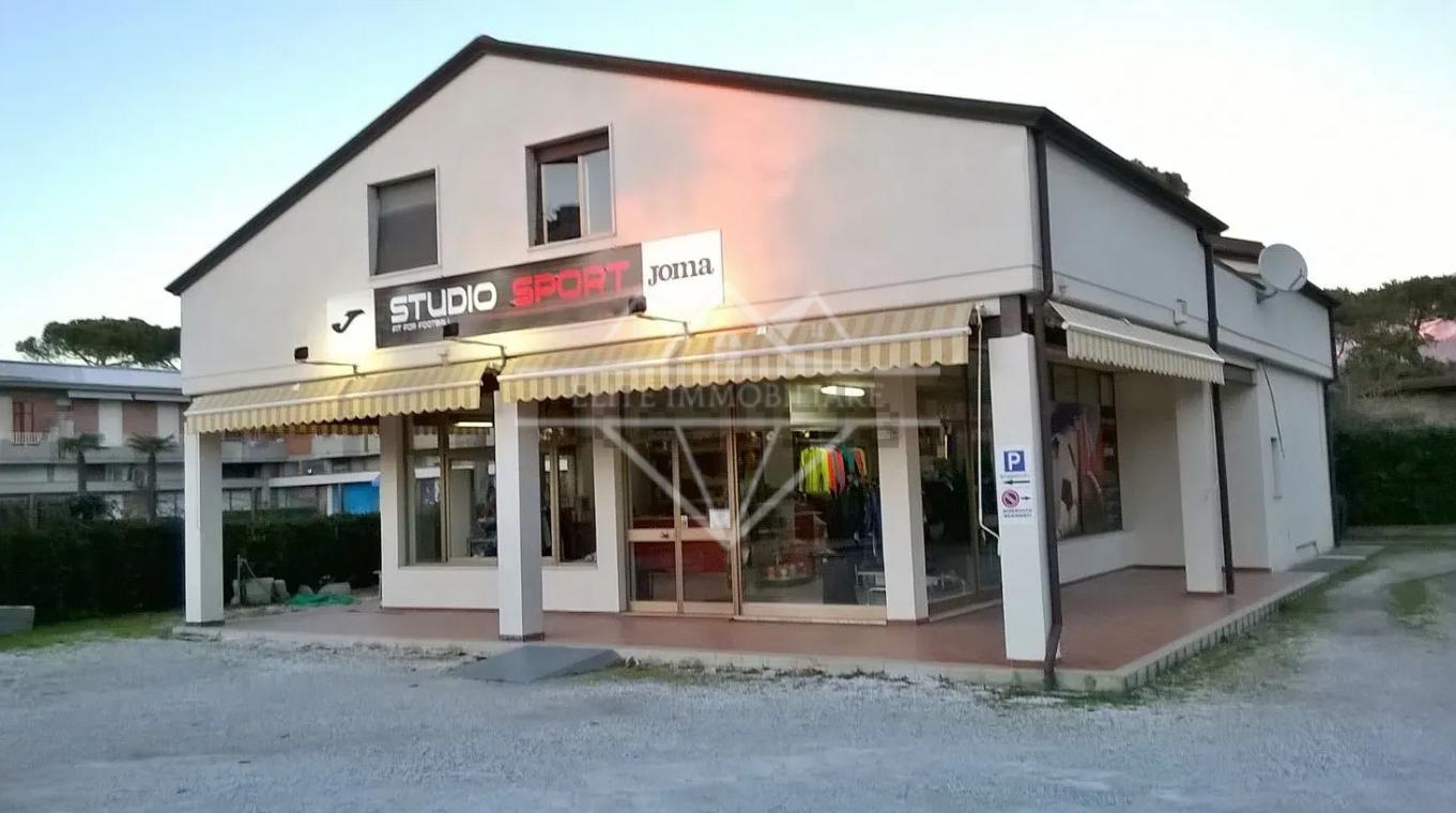 Casa indipendente con giardino, Massa partaccia