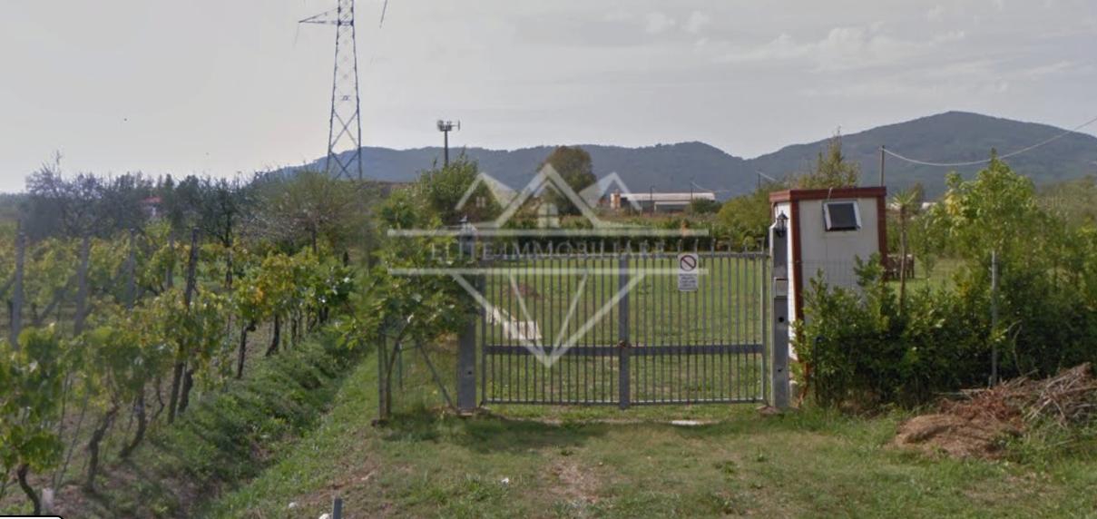 Terreno Agricolo in vendita a Castelnuovo Magra