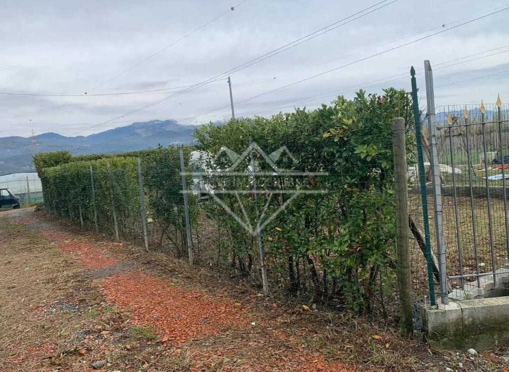 Terreno Agricolo in vendita a Castelnuovo Magra