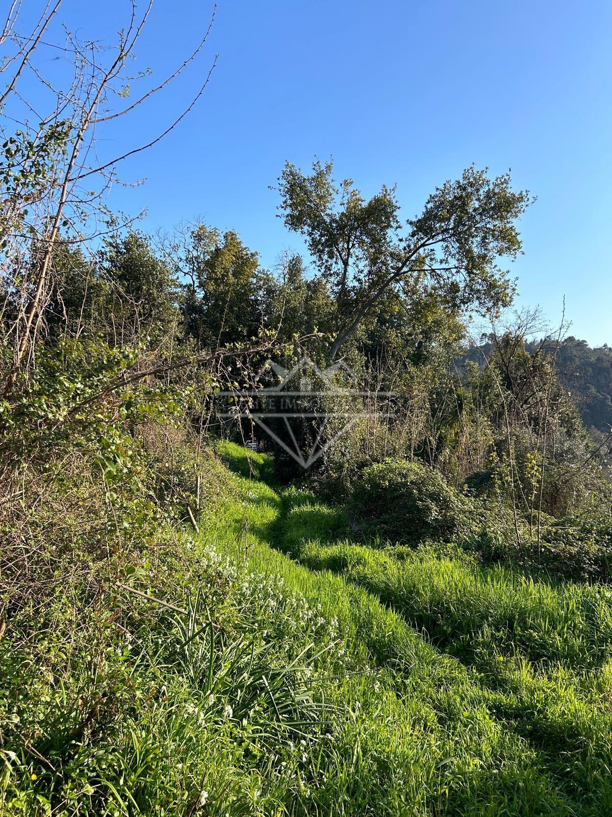 Rustico con giardino a Carrara