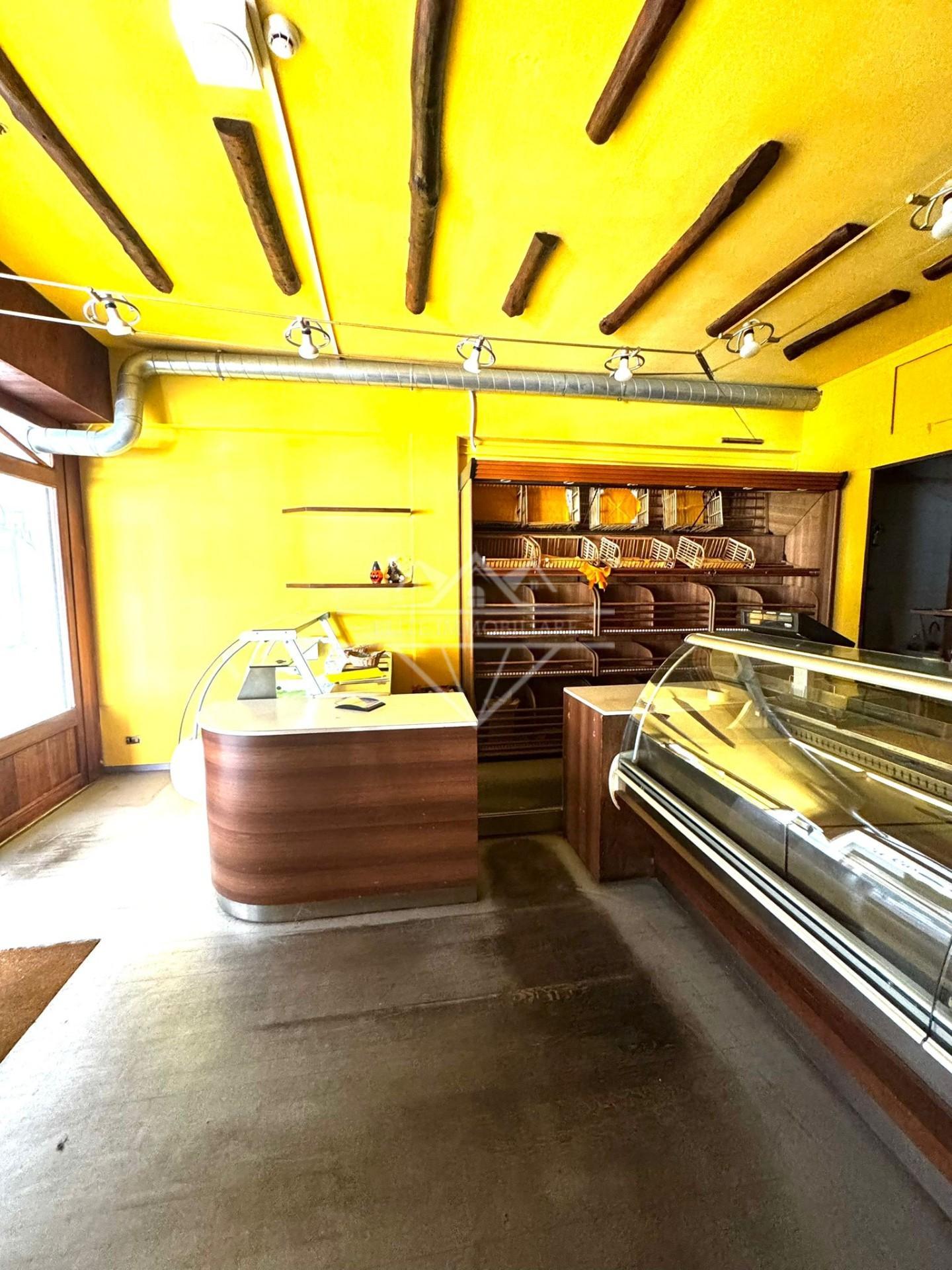 Attivit� commerciale in affitto/gestione, Carrara avenza