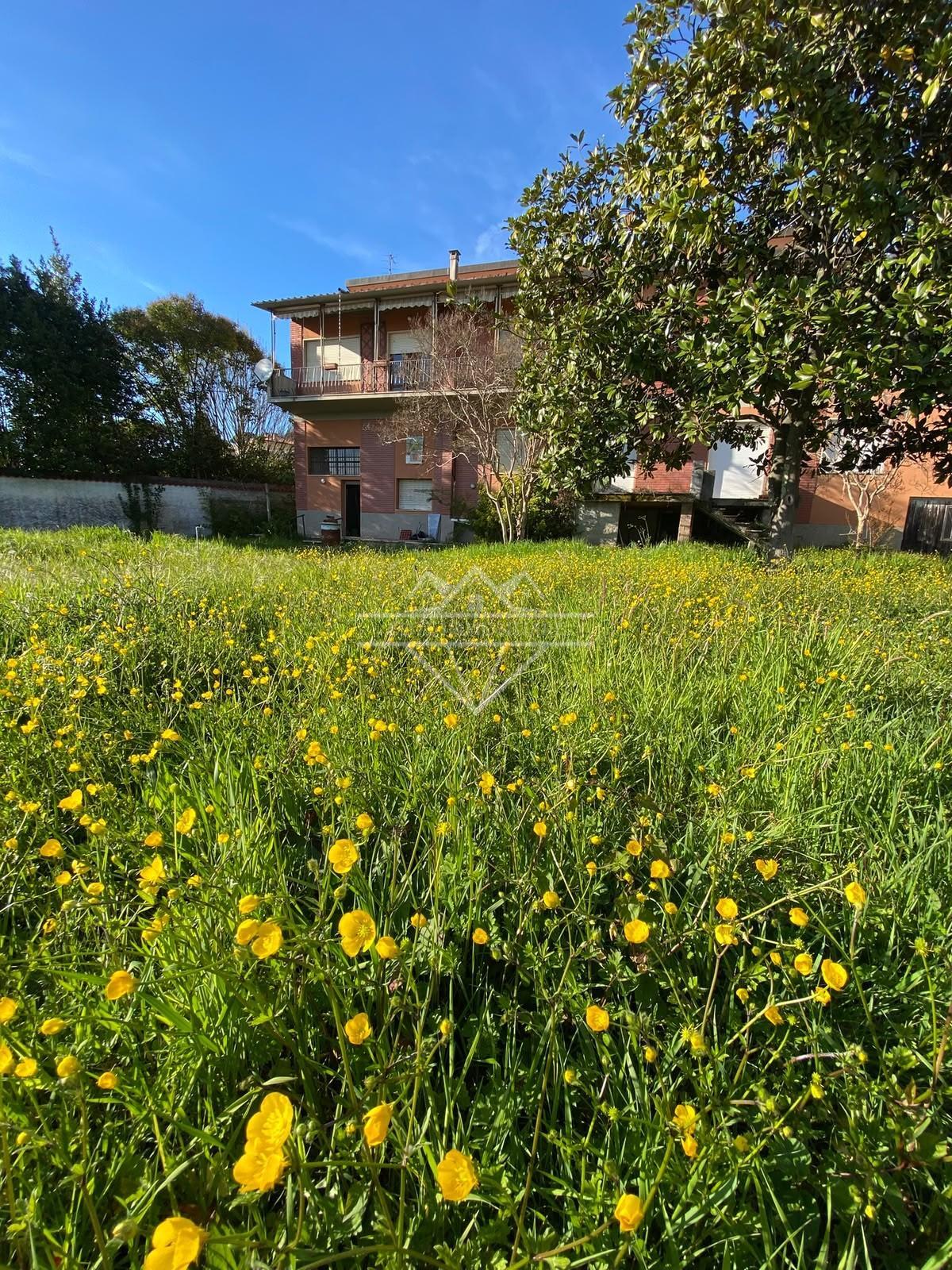 Casa indipendente con giardino, Carrara marasio