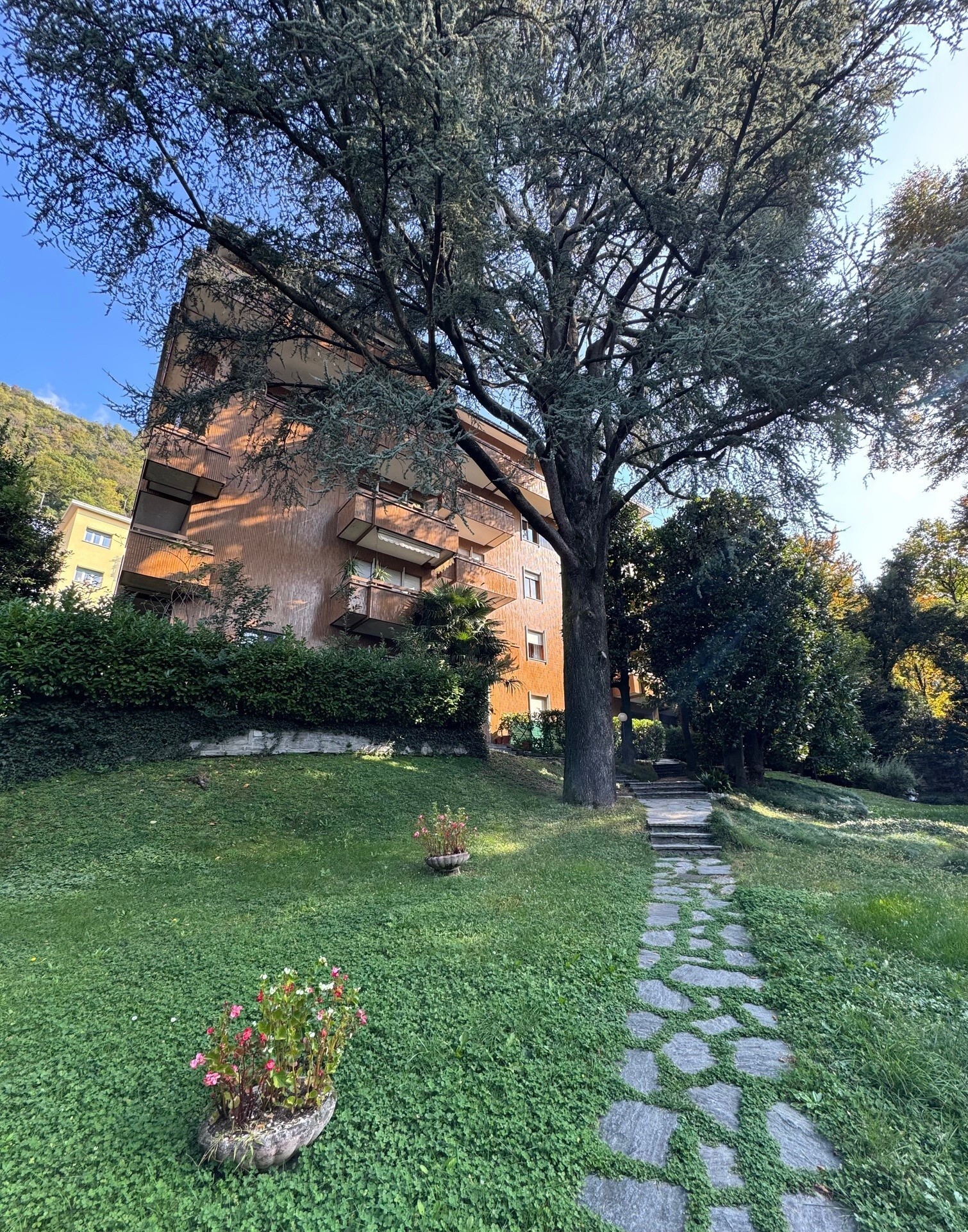 immagine annuncio 1 di 6