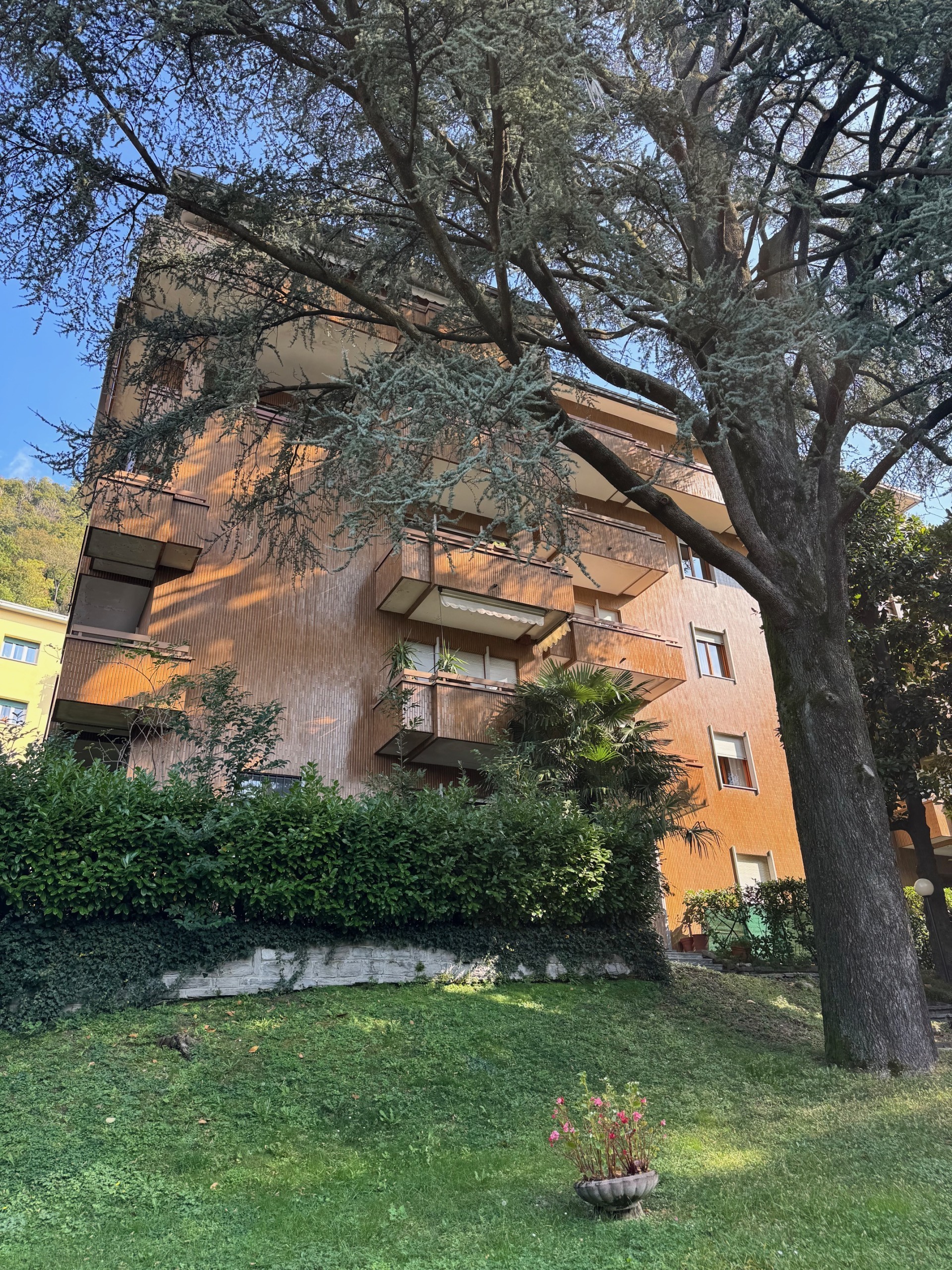 immagine annuncio 2 di 6