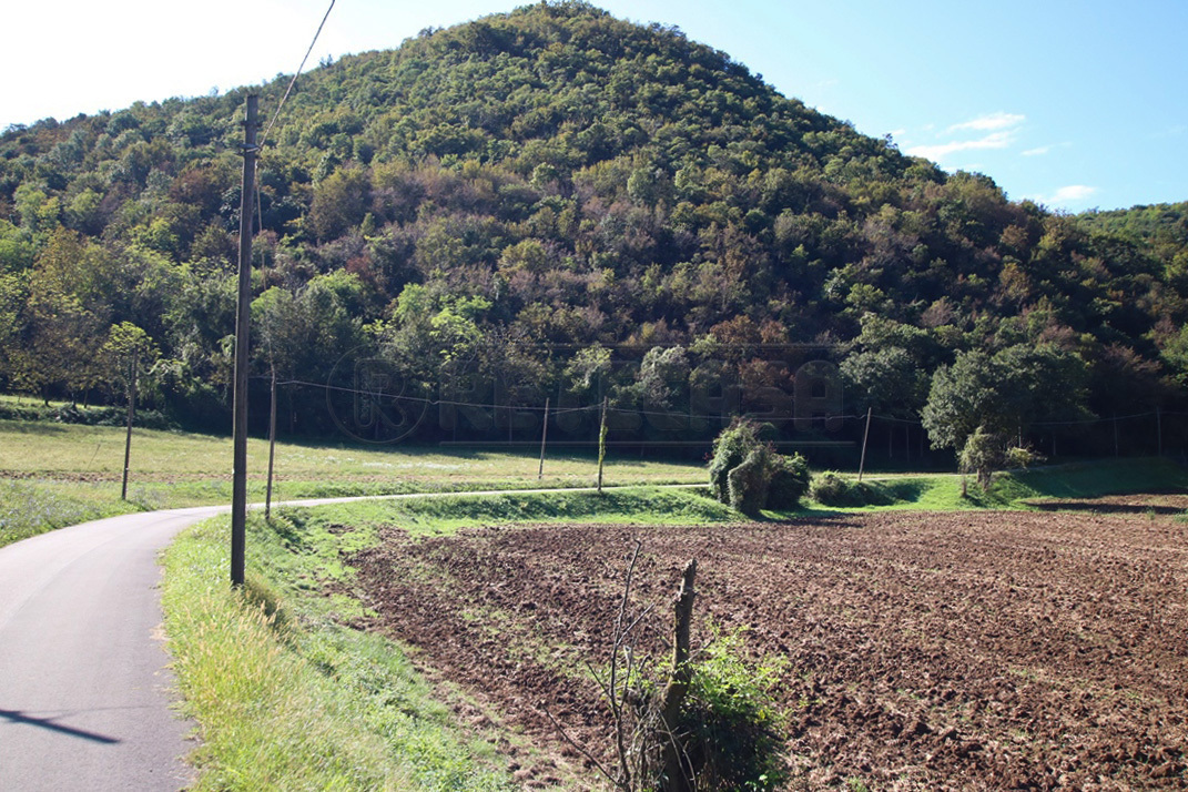 Terreno Agricolo in vendita a Arcugnano