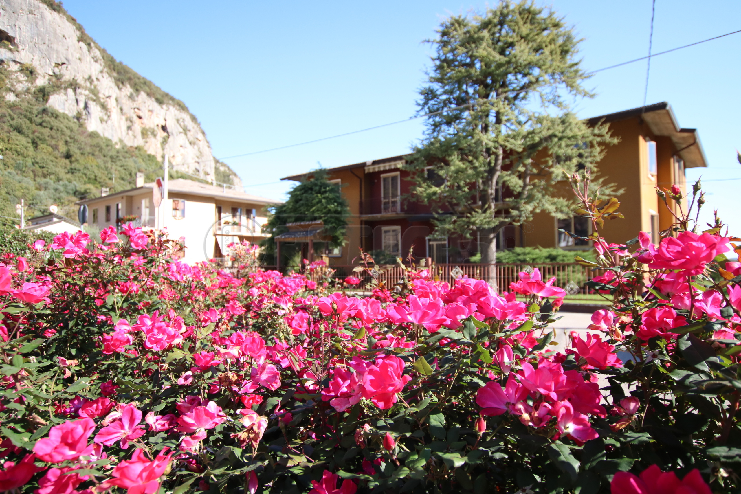 Appartamento con terrazzi in via borgo, Longare