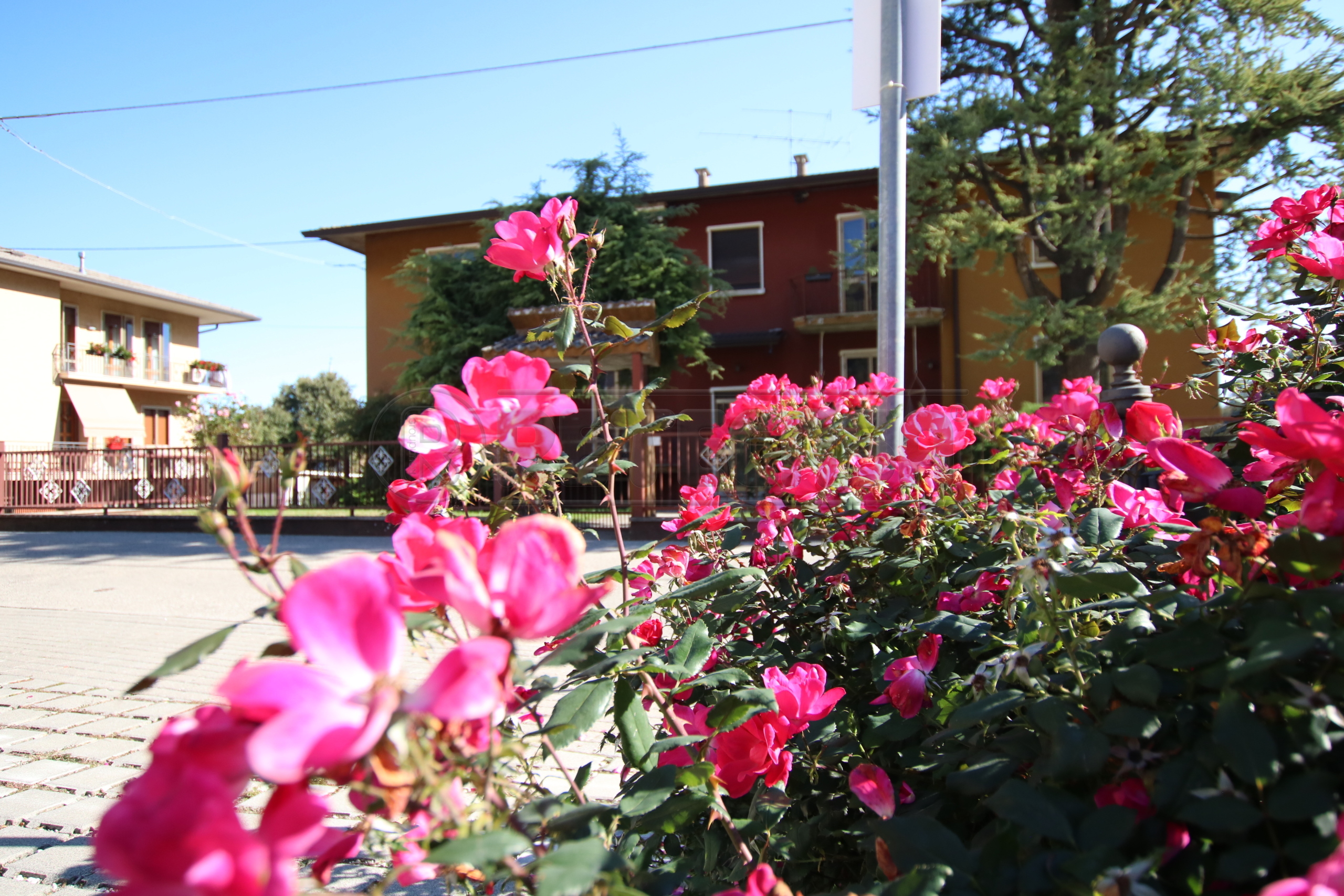 Appartamento con terrazzi in via borgo, Longare