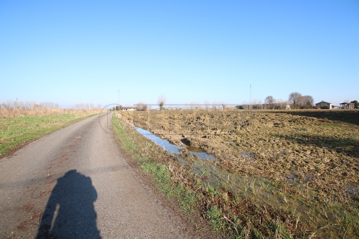 Rustico da ristrutturare a Montegalda