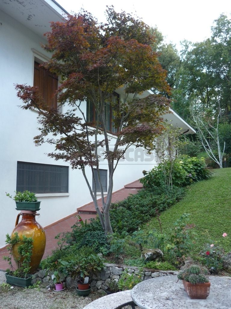 Villa con giardino in via san rocco, Arcugnano