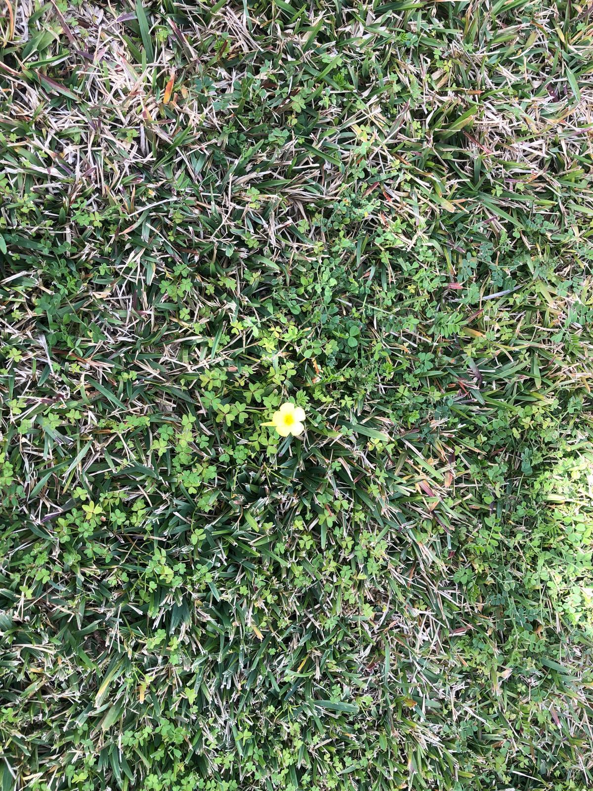 Terreno Edificabile in vendita in viale epipoli, Siracusa
