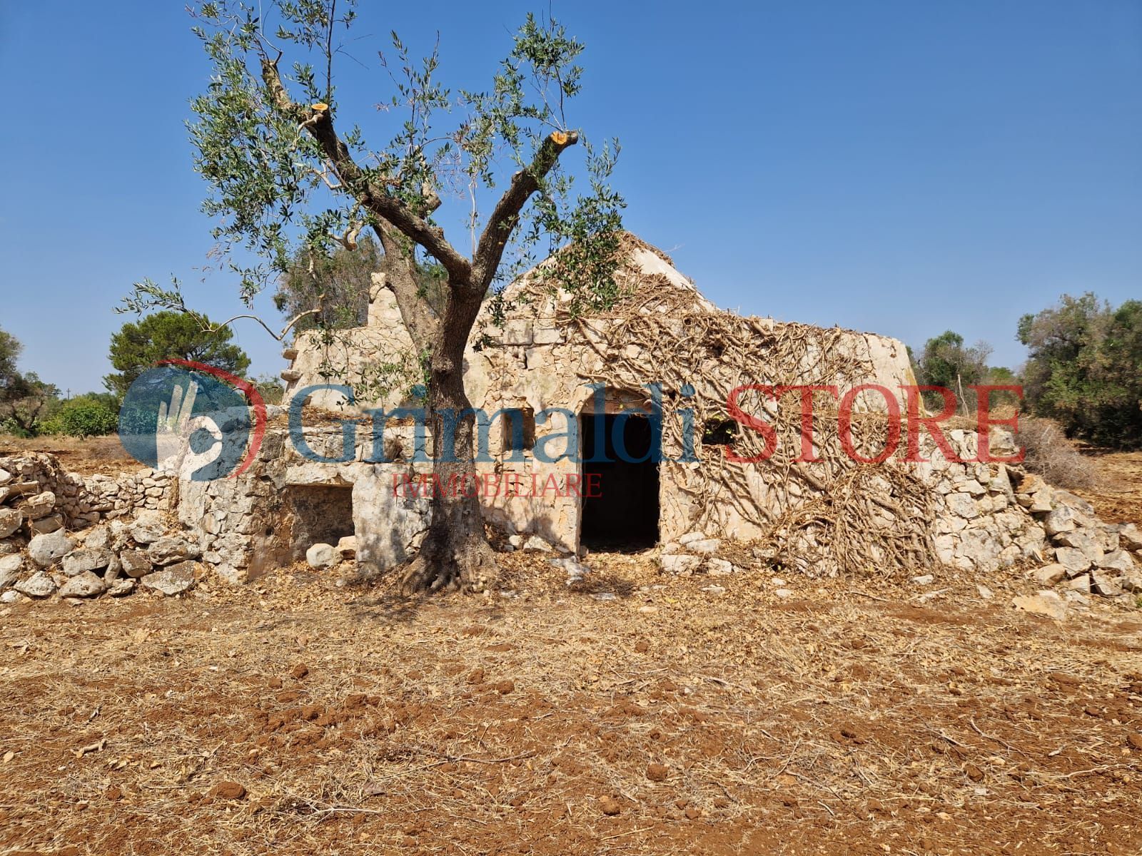 Terreno Agricolo da ristrutturare in contrada san giacomo, San Vito dei Normanni