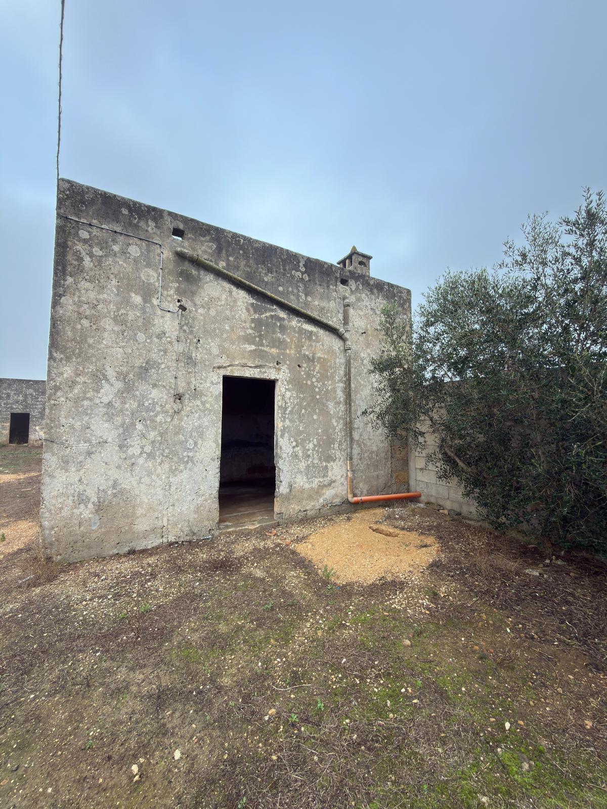 immagine annuncio 3 di 6