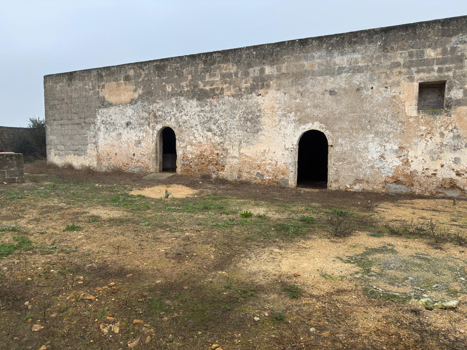 immagine annuncio 4 di 6