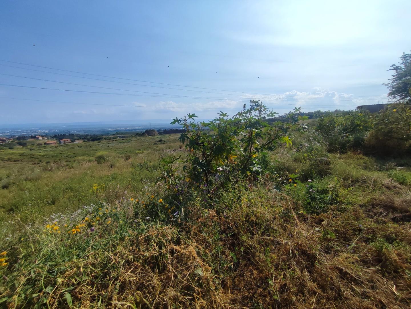 Terreno Agricolo in vendita a Misterbianco