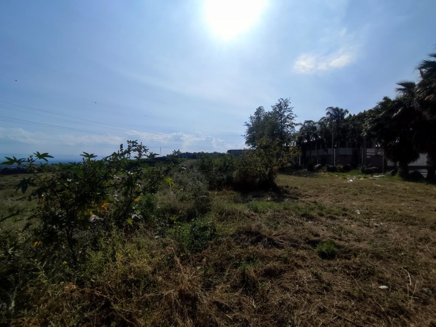 Terreno Agricolo in vendita a Misterbianco