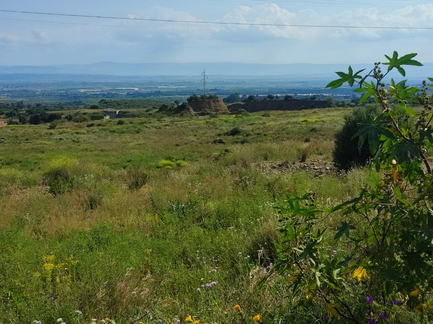 Terreno Agricolo in vendita a Misterbianco