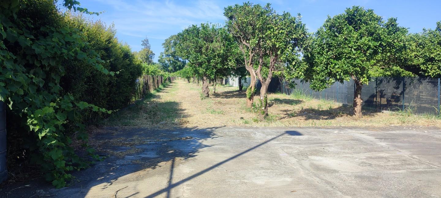 Terreno Agricolo in vendita a Calatabiano