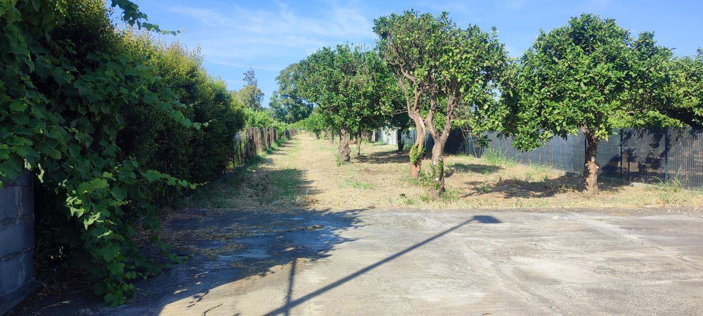 Terreno Agricolo in vendita a Calatabiano