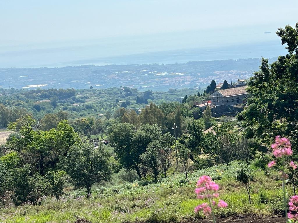 Terreno Agricolo in vendita, Piedimonte Etneo presa