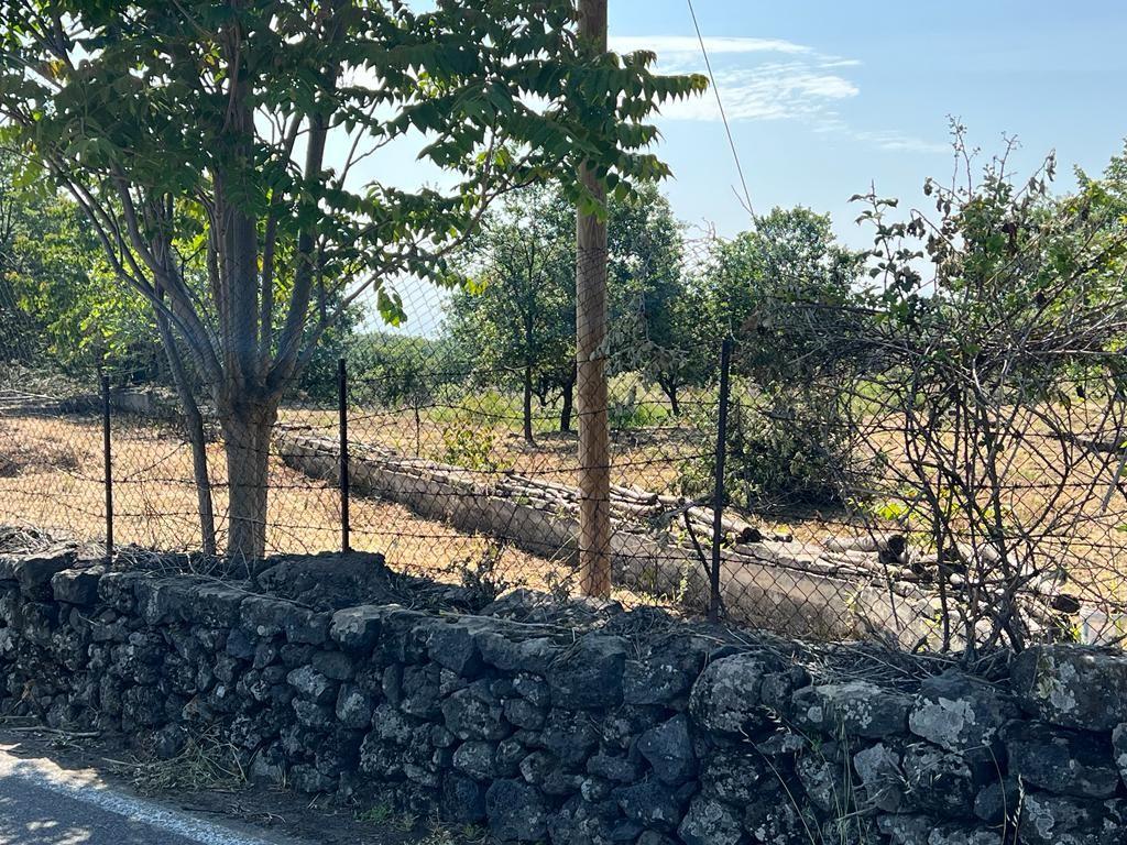 Terreno Agricolo in vendita, Piedimonte Etneo presa