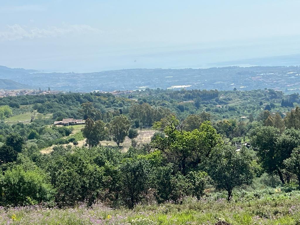 Terreno Agricolo in vendita, Piedimonte Etneo presa