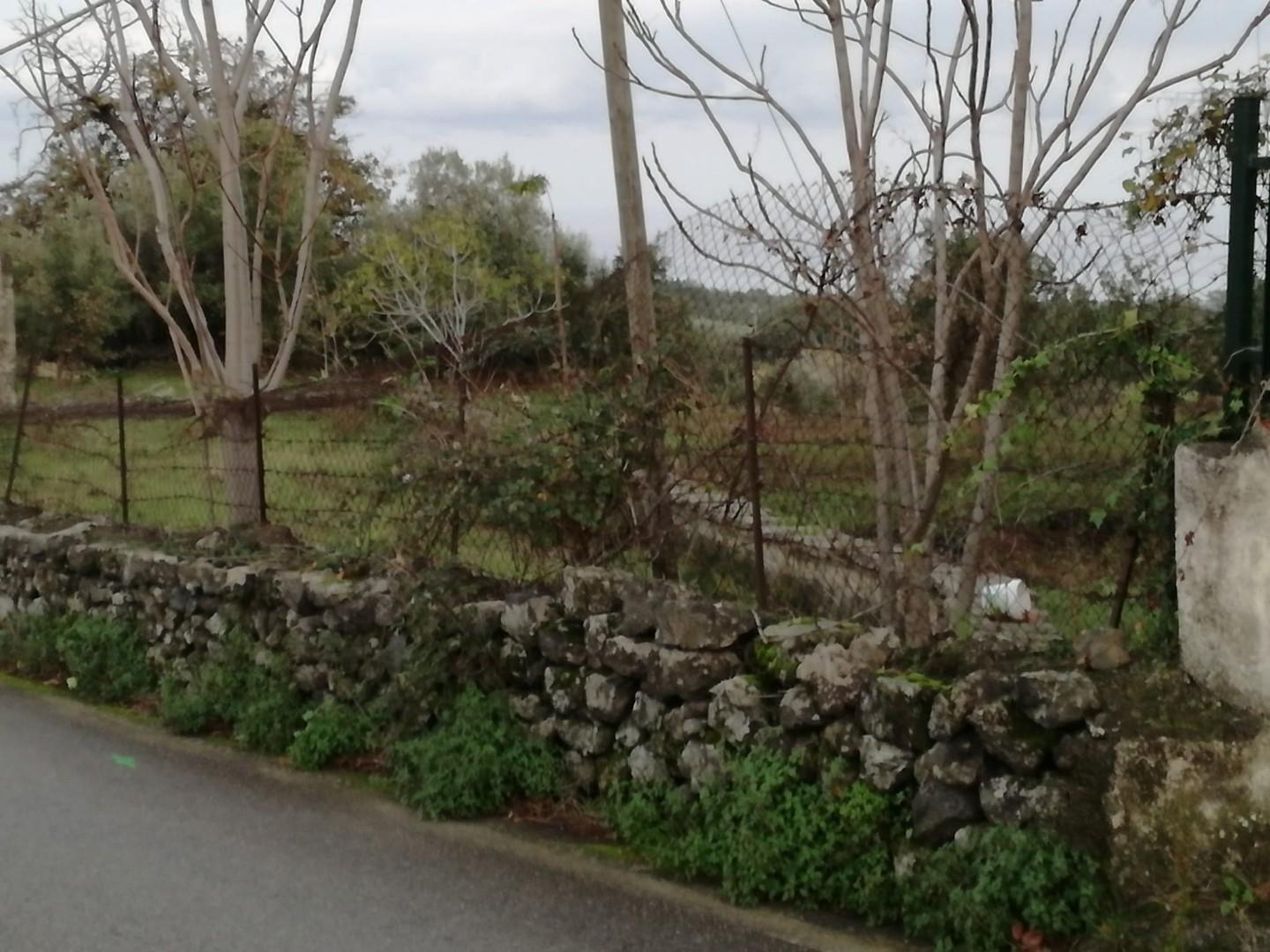 Terreno Agricolo in vendita, Piedimonte Etneo presa