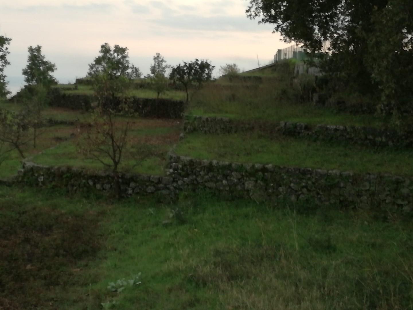 Terreno Agricolo in vendita, Piedimonte Etneo presa