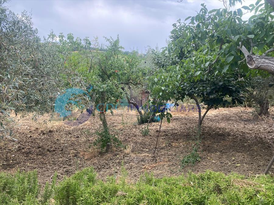 Casa vacanza 4 Locali con giardino in c.da canalotto snc, Lercara Friddi