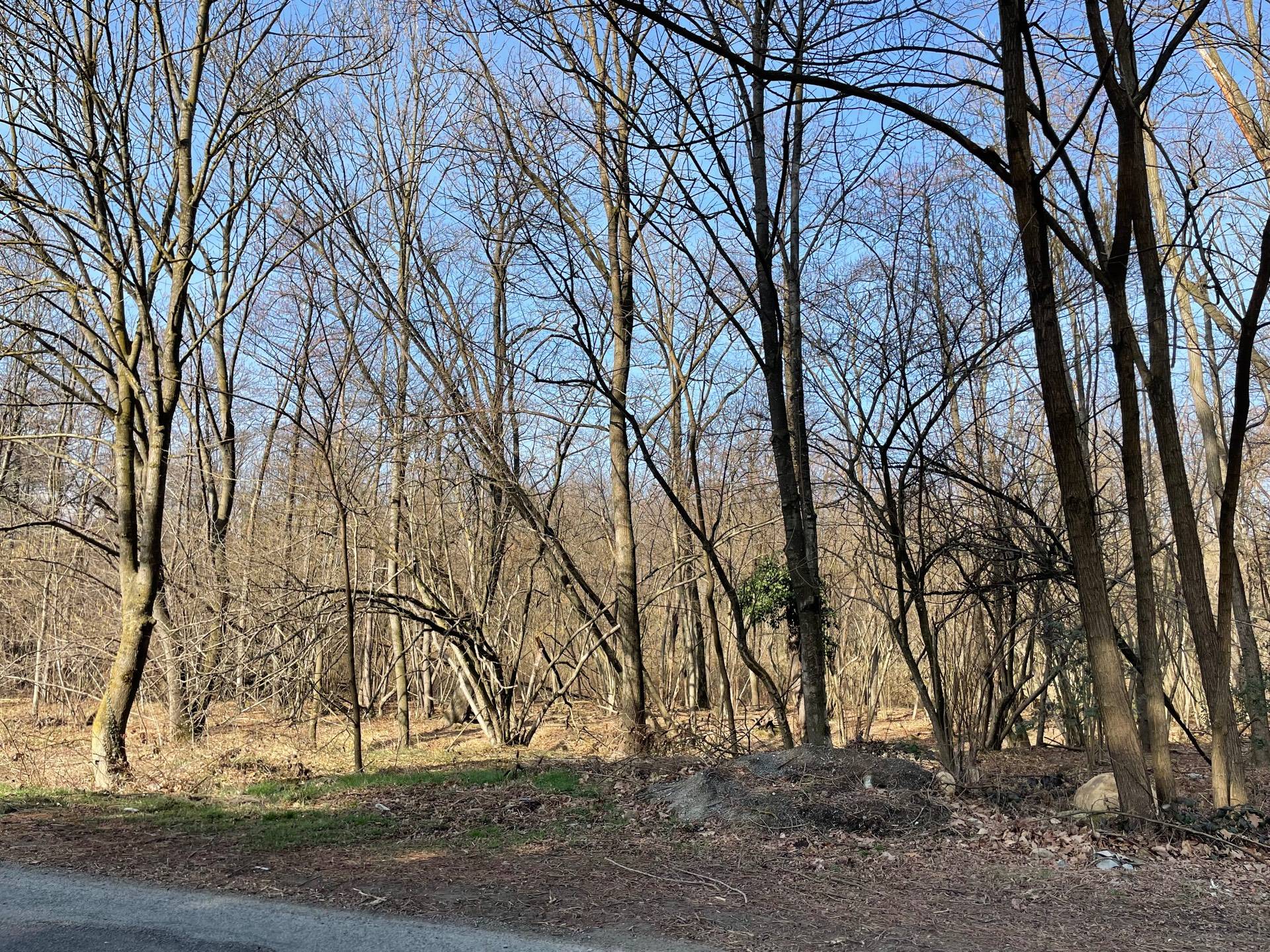 Casa indipendente in vendita a Trana