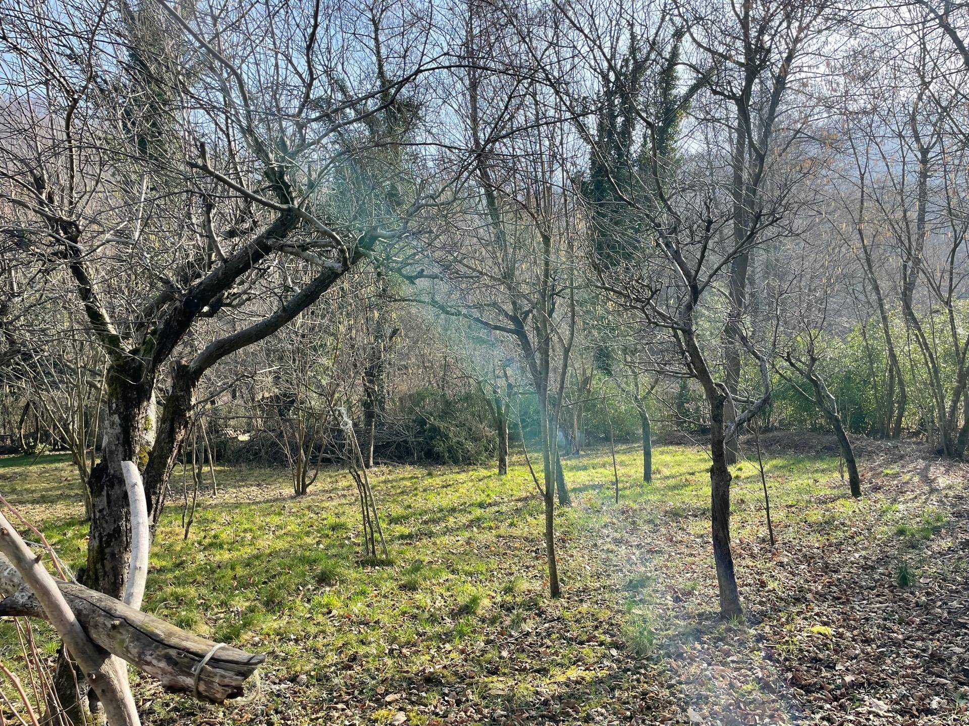 Casa indipendente in vendita a Trana