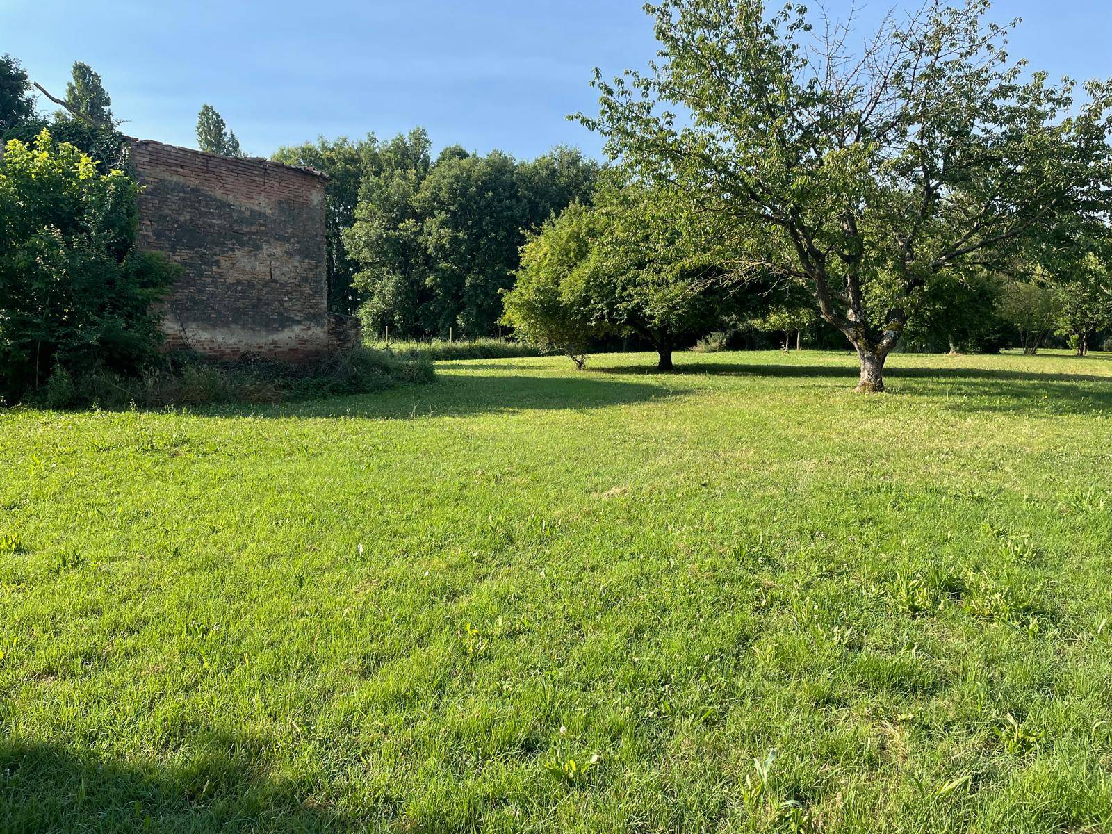 Rustico in vendita a Copparo, Gradizza