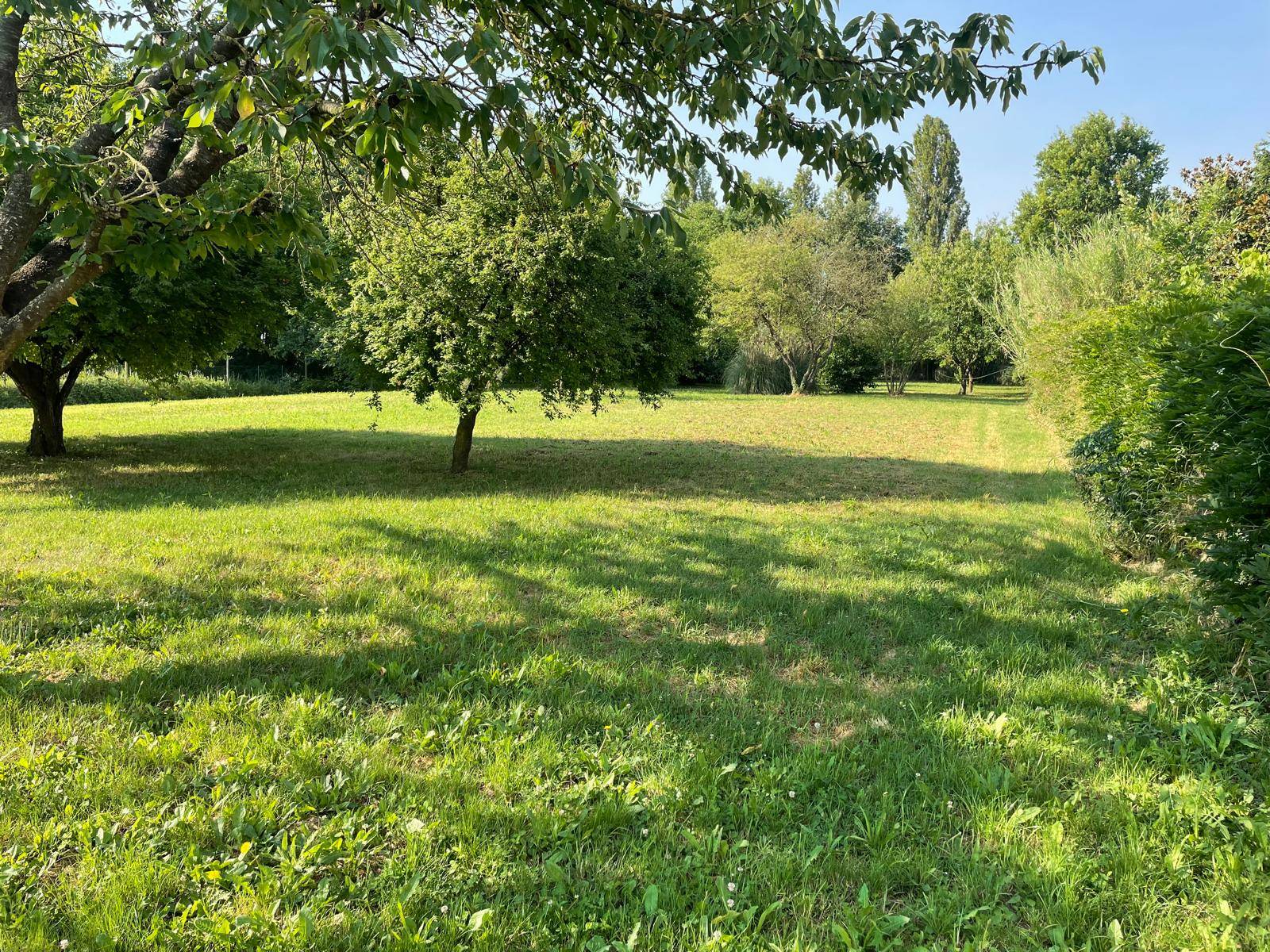 Rustico in vendita a Copparo, Gradizza