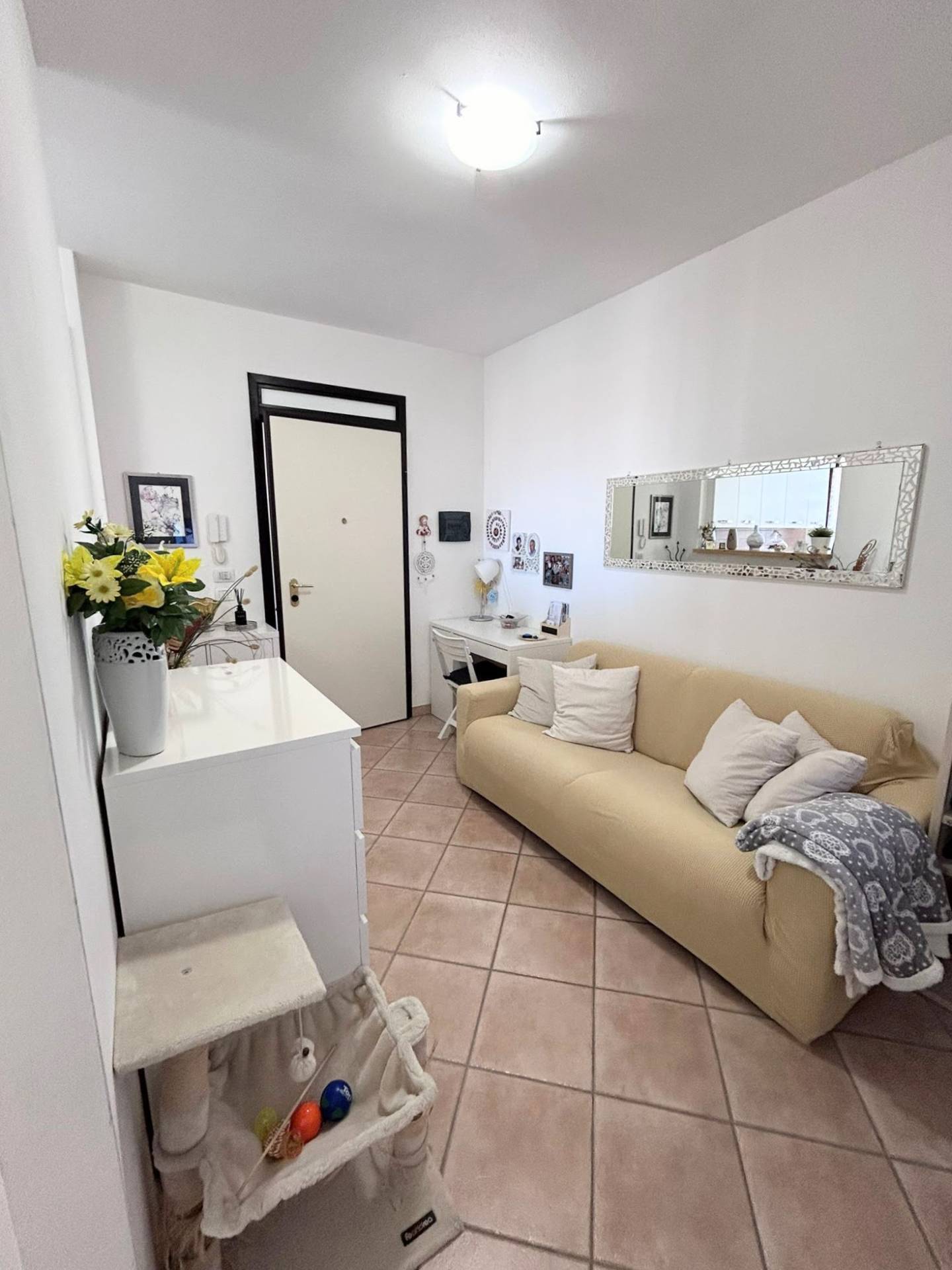 3 locali in vendita a Tavullia