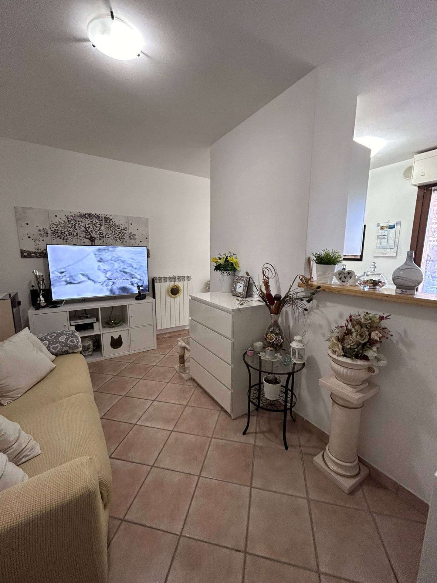 3 locali in vendita a Tavullia