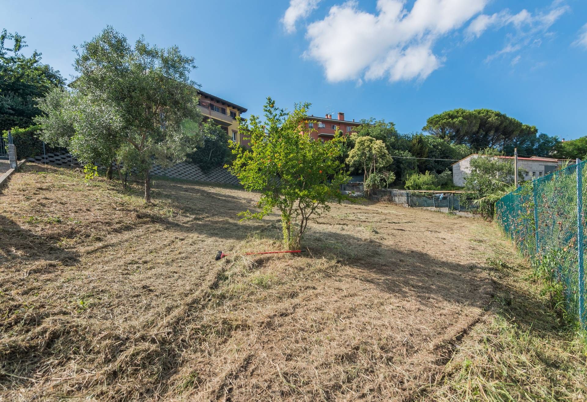 Terreno Edificabile in vendita a Montescudo-Monte Colombo