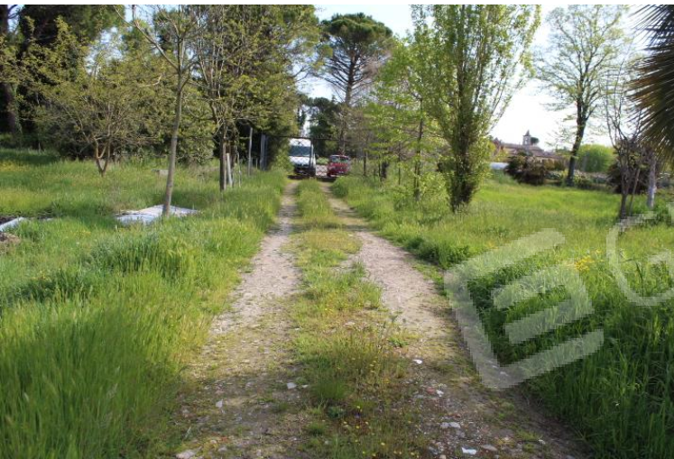 Terreno Agricolo da ristrutturare, Cesena diegaro