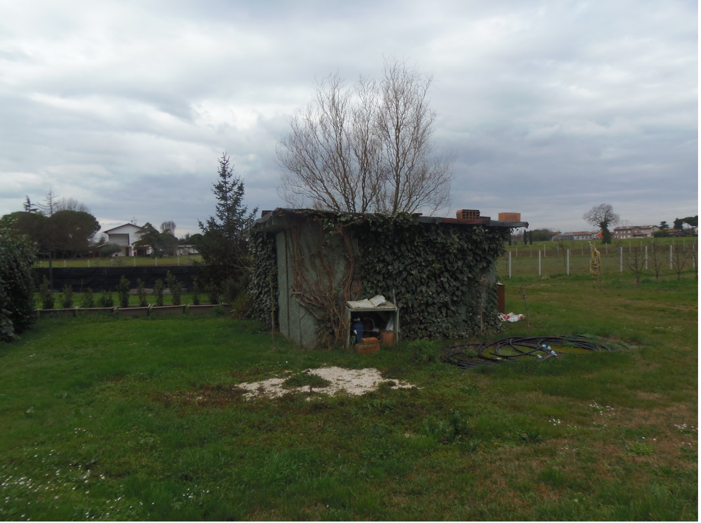 immagine annuncio 2 di 6