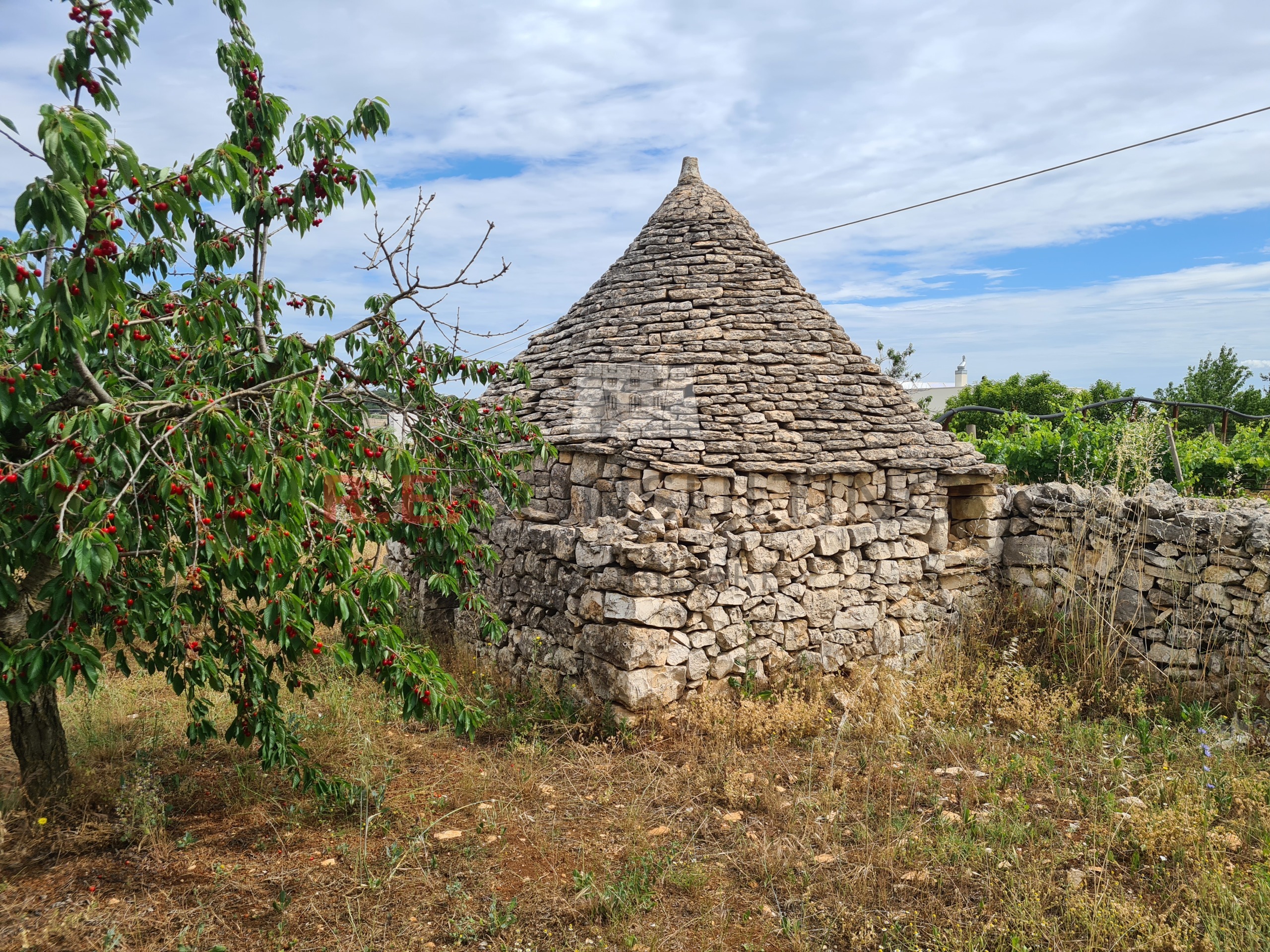 Casa indipendente da ristrutturare in via ospedale, Martina Franca