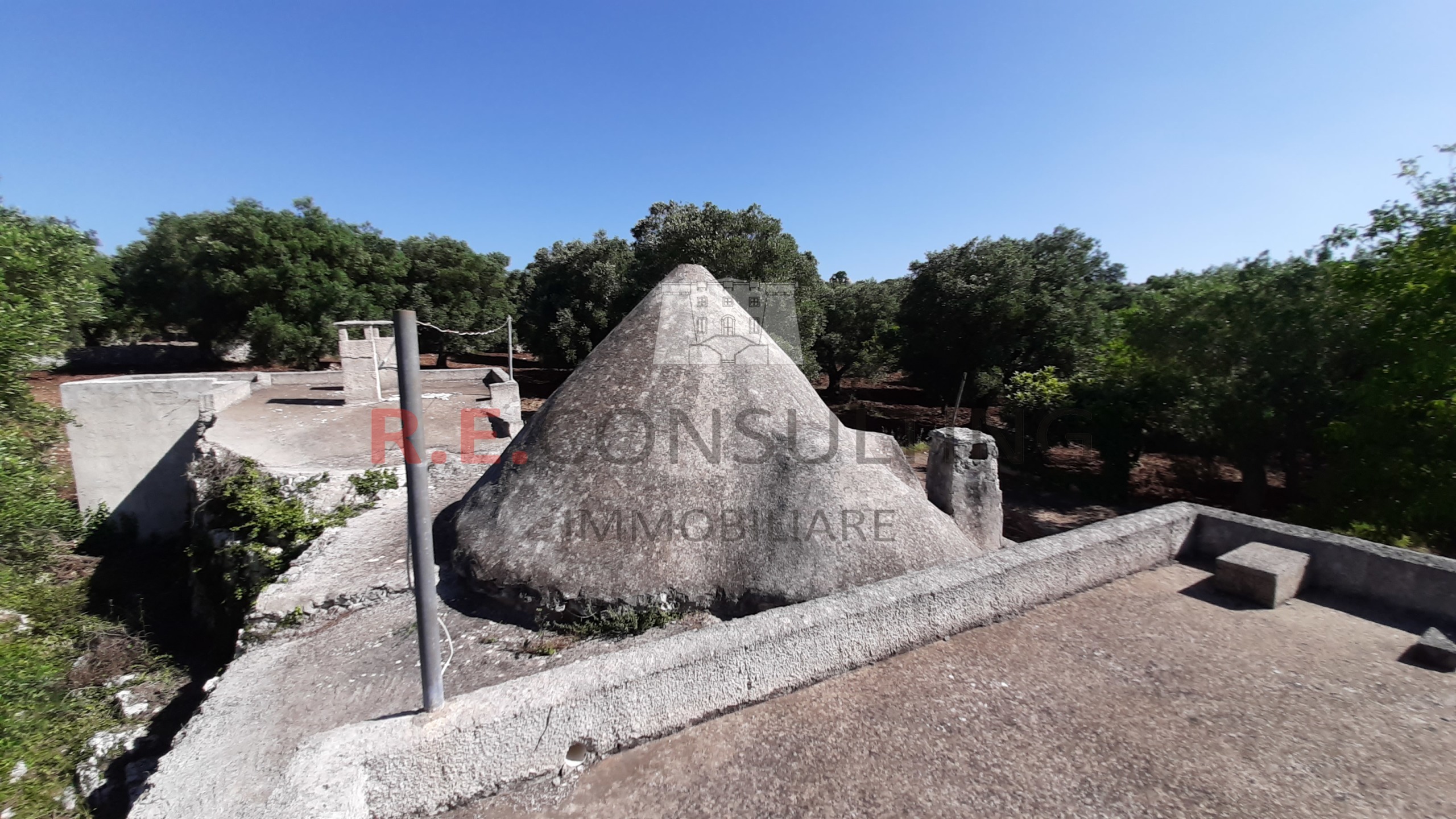immagine annuncio 3 di 6