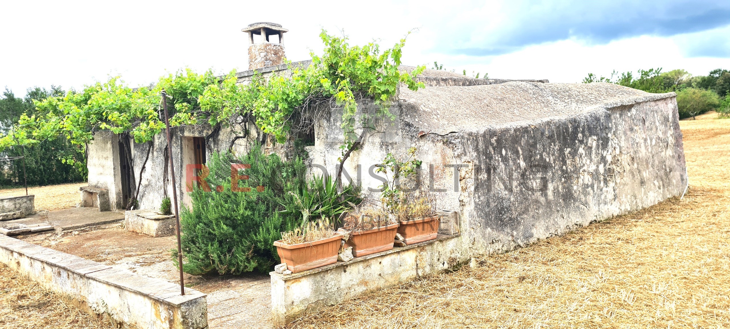 Rustico da ristrutturare a Martina Franca